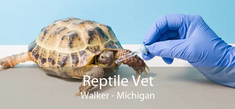 Reptile Vet Walker - Michigan