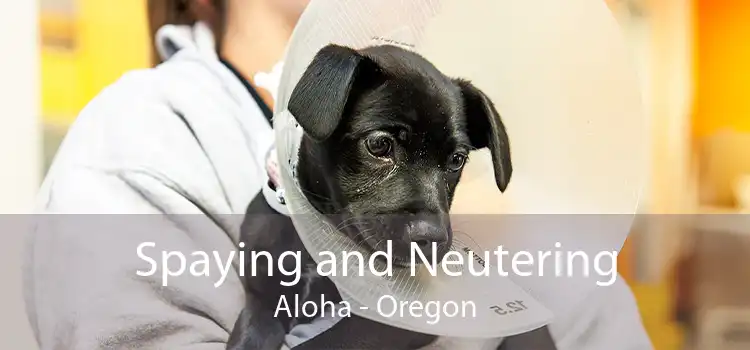 Spaying and Neutering Aloha - Oregon