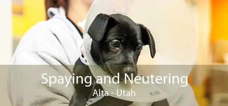 Spaying and Neutering Alta - Utah