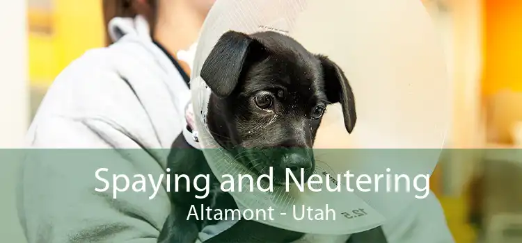 Spaying and Neutering Altamont - Utah