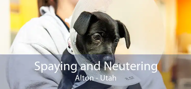 Spaying and Neutering Alton - Utah