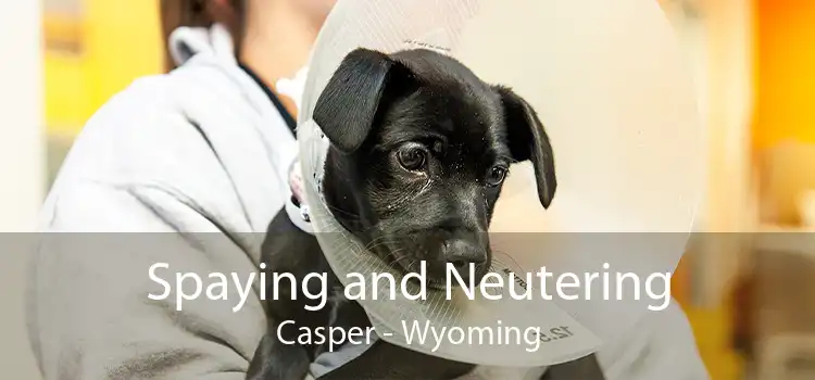 Spaying and Neutering Casper - Wyoming