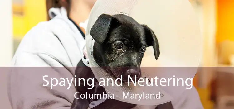 Spaying and Neutering Columbia - Maryland