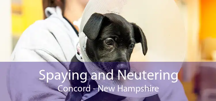 Spaying and Neutering Concord - New Hampshire