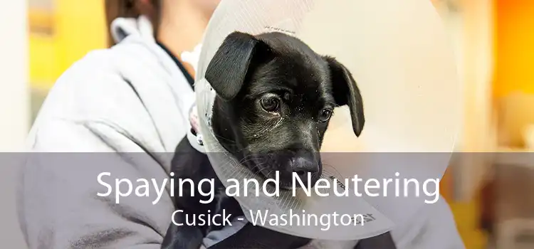 Spaying and Neutering Cusick - Washington