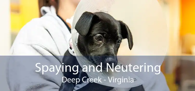 Spaying and Neutering Deep Creek - Virginia