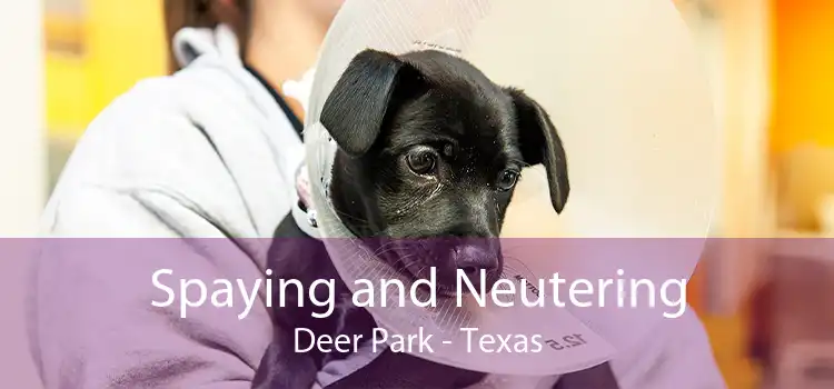 Spaying and Neutering Deer Park - Texas