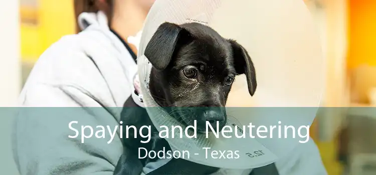 Spaying and Neutering Dodson - Texas