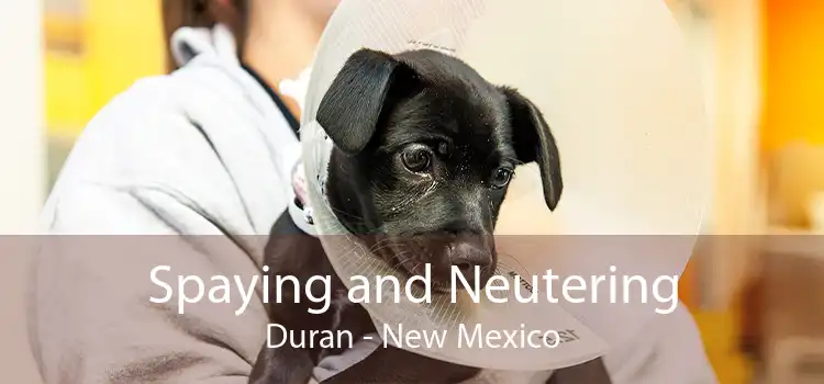Spaying and Neutering Duran - New Mexico