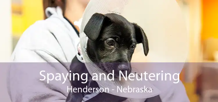 Spaying and Neutering Henderson - Nebraska