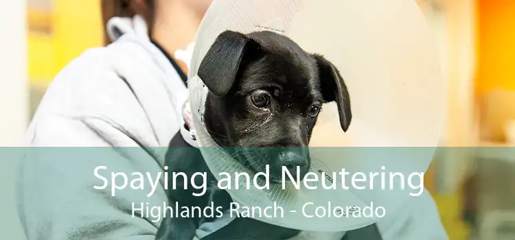 Spaying and Neutering Highlands Ranch - Colorado