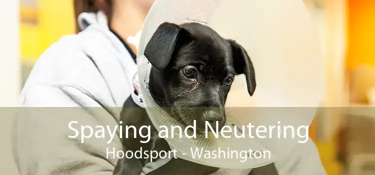 Spaying and Neutering Hoodsport - Washington
