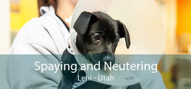 Spaying and Neutering Lehi - Utah