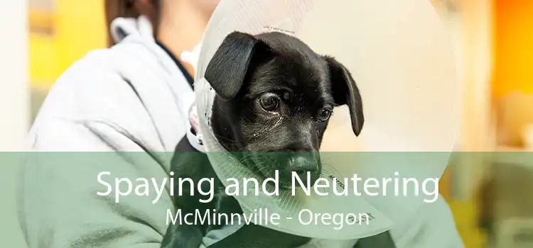 Spaying and Neutering McMinnville - Oregon