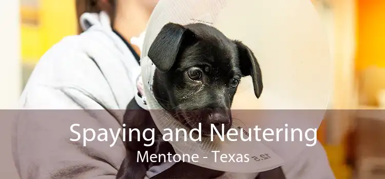 Spaying and Neutering Mentone - Texas