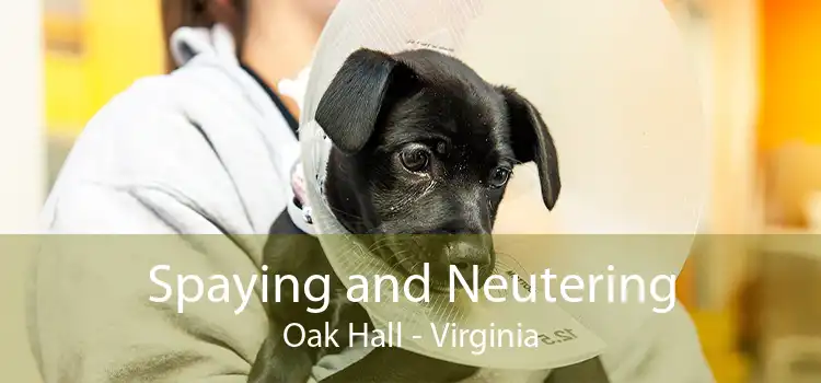 Spaying and Neutering Oak Hall - Virginia