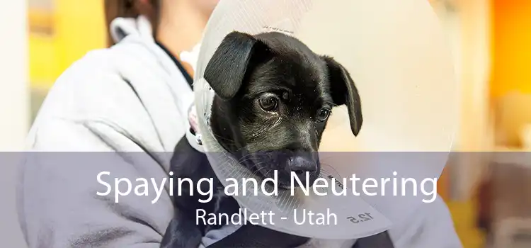Spaying and Neutering Randlett - Utah