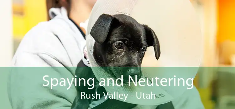 Spaying and Neutering Rush Valley - Utah