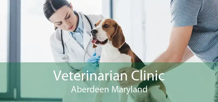 Veterinarian Clinic Aberdeen Maryland