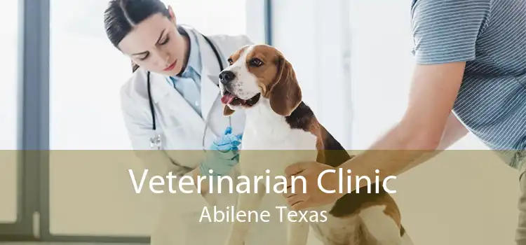 Veterinarian Clinic Abilene Texas