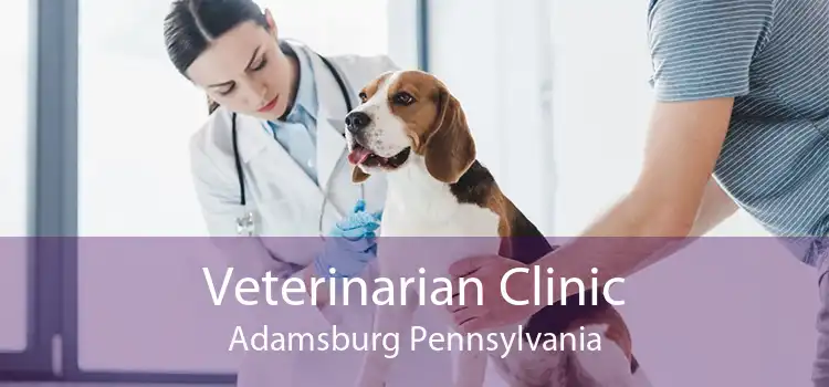 Veterinarian Clinic Adamsburg Pennsylvania