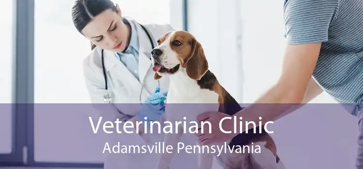 Veterinarian Clinic Adamsville Pennsylvania