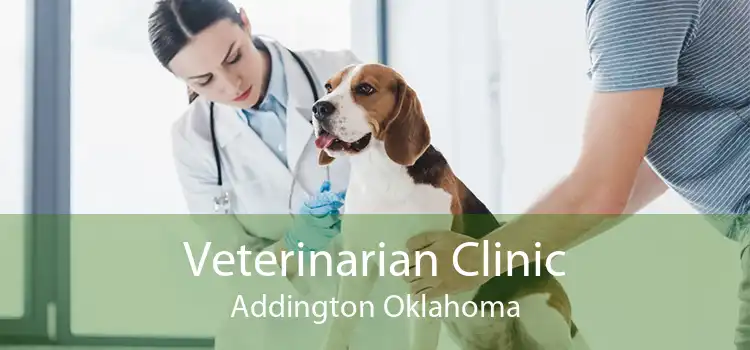 Veterinarian Clinic Addington Oklahoma