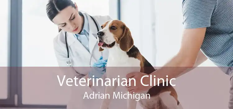 Veterinarian Clinic Adrian Michigan