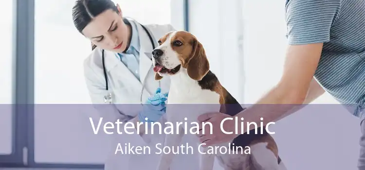 Veterinarian Clinic Aiken South Carolina