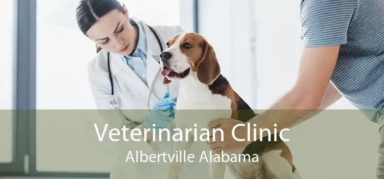 Veterinarian Clinic Albertville Alabama