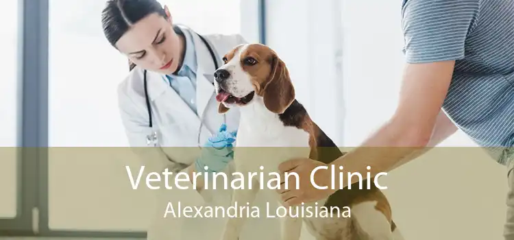 Veterinarian Clinic Alexandria Louisiana