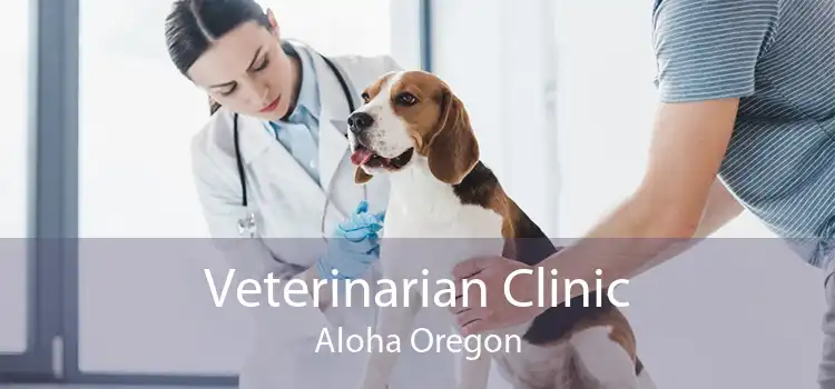 Veterinarian Clinic Aloha Oregon