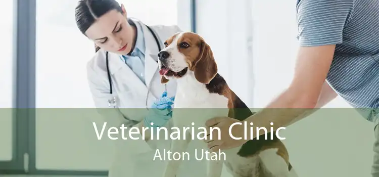 Veterinarian Clinic Alton Utah