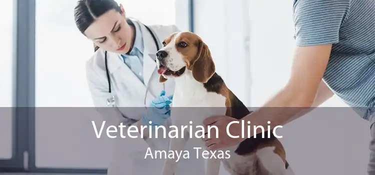 Veterinarian Clinic Amaya Texas