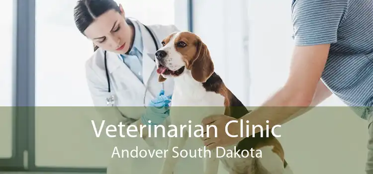 Veterinarian Clinic Andover South Dakota