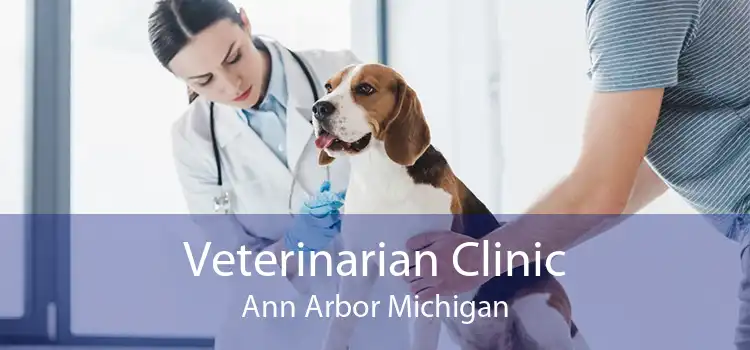 Veterinarian Clinic Ann Arbor Michigan