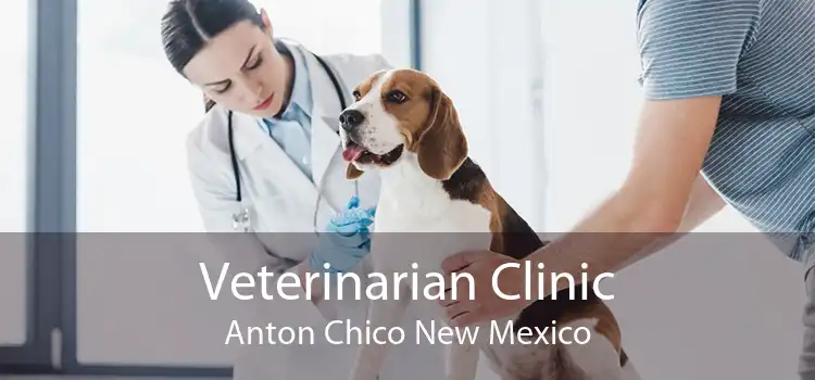 Veterinarian Clinic Anton Chico New Mexico