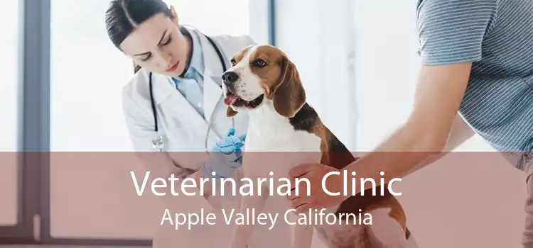 Veterinarian Clinic Apple Valley California