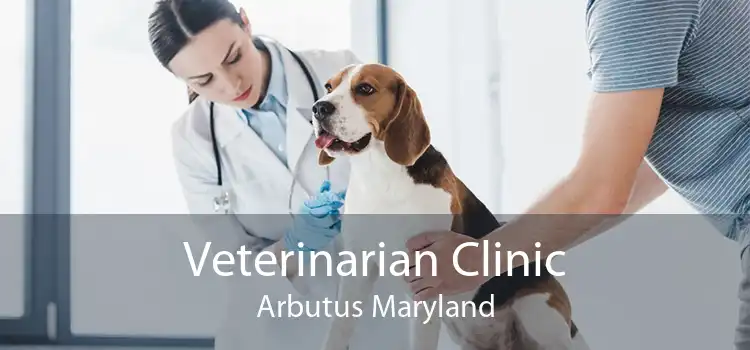 Veterinarian Clinic Arbutus Maryland