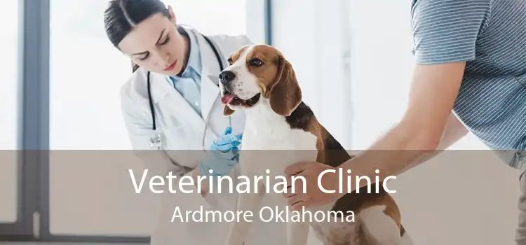 Veterinarian Clinic Ardmore Oklahoma