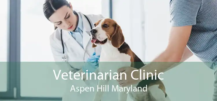 Veterinarian Clinic Aspen Hill Maryland