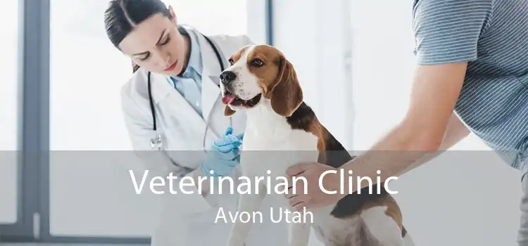 Veterinarian Clinic Avon Utah