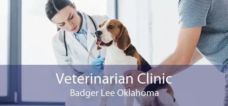 Veterinarian Clinic Badger Lee Oklahoma