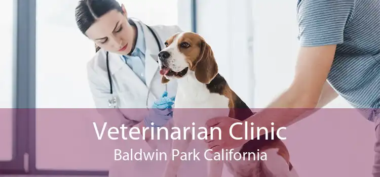 Veterinarian Clinic Baldwin Park California