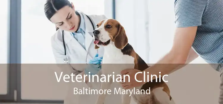 Veterinarian Clinic Baltimore Maryland