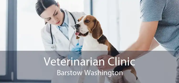 Veterinarian Clinic Barstow Washington