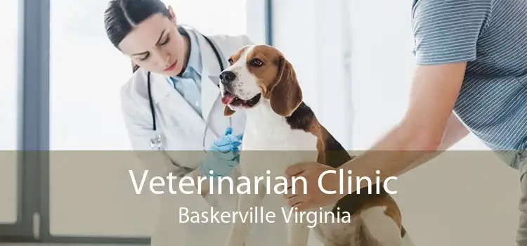 Veterinarian Clinic Baskerville Virginia