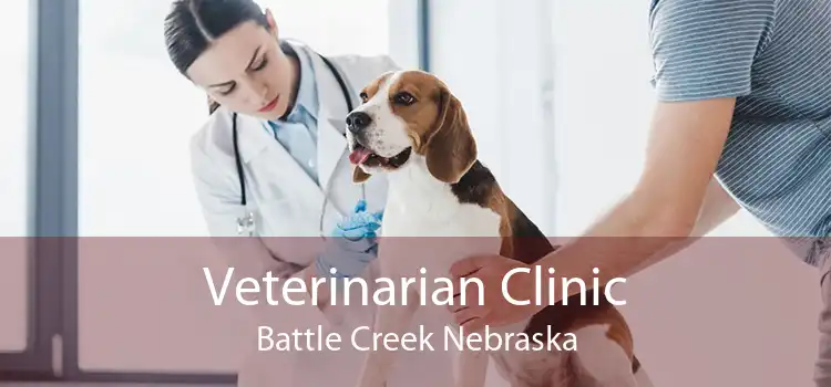 Veterinarian Clinic Battle Creek Nebraska