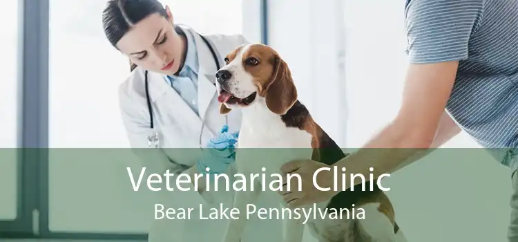 Veterinarian Clinic Bear Lake Pennsylvania