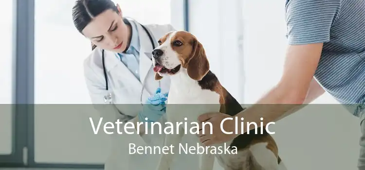 Veterinarian Clinic Bennet Nebraska